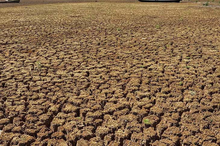Brasil está secando e perde 15% da superfície de água em 35 anos